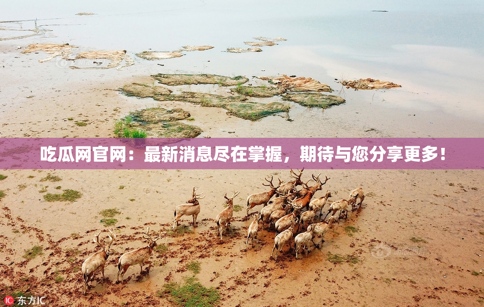 吃瓜网官网：最新消息尽在掌握，期待与您分享更多！