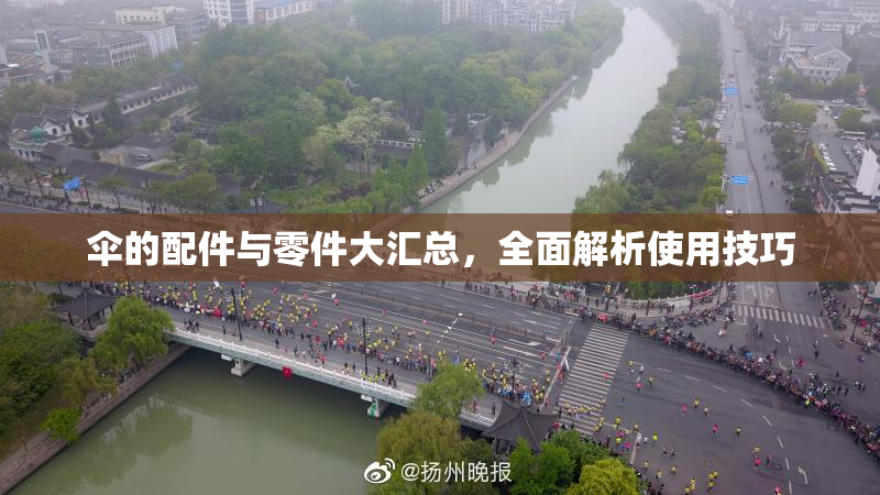 伞的配件与零件大汇总，全面解析使用技巧