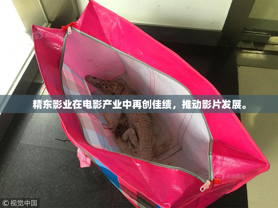 精东影业在电影产业中再创佳绩，推动影片发展。