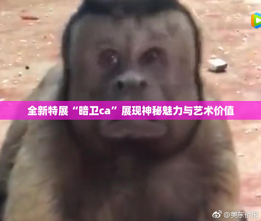 全新特展“暗卫ca”展现神秘魅力与艺术价值