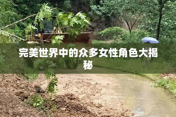 完美世界中的众多女性角色大揭秘