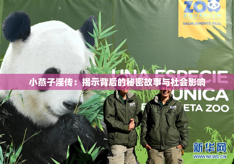 小燕子淫传：揭示背后的秘密故事与社会影响