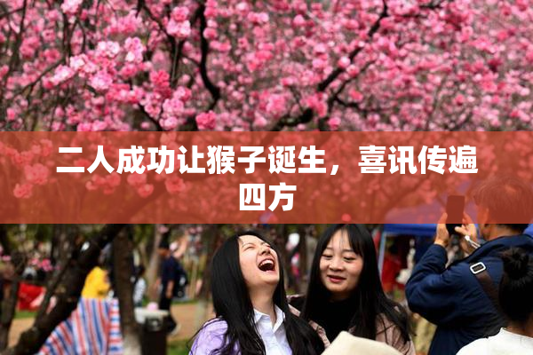 二人成功让猴子诞生，喜讯传遍四方