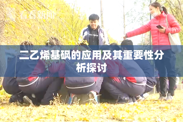 二乙烯基砜的应用及其重要性分析探讨