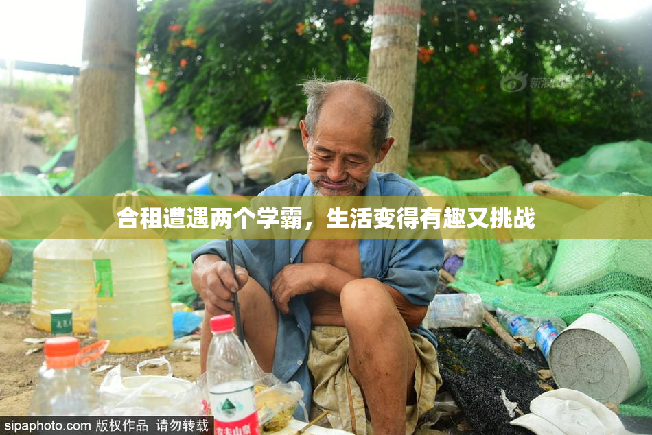 合租遭遇两个学霸，生活变得有趣又挑战