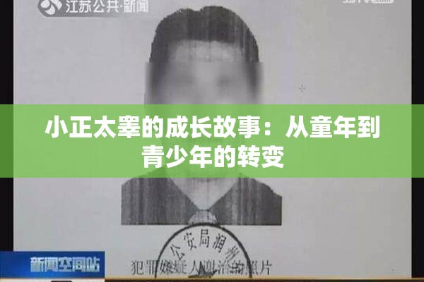 小正太睾的成长故事：从童年到青少年的转变