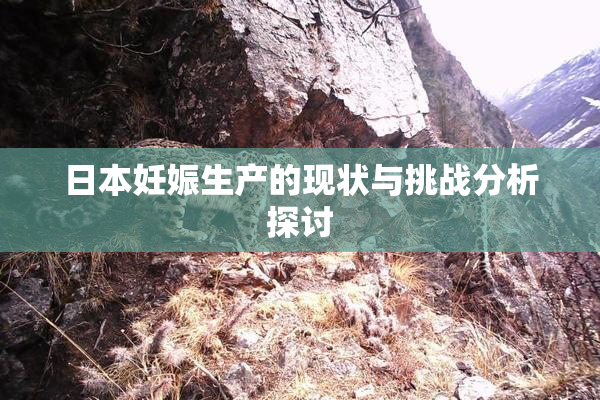 日本妊娠生产的现状与挑战分析探讨