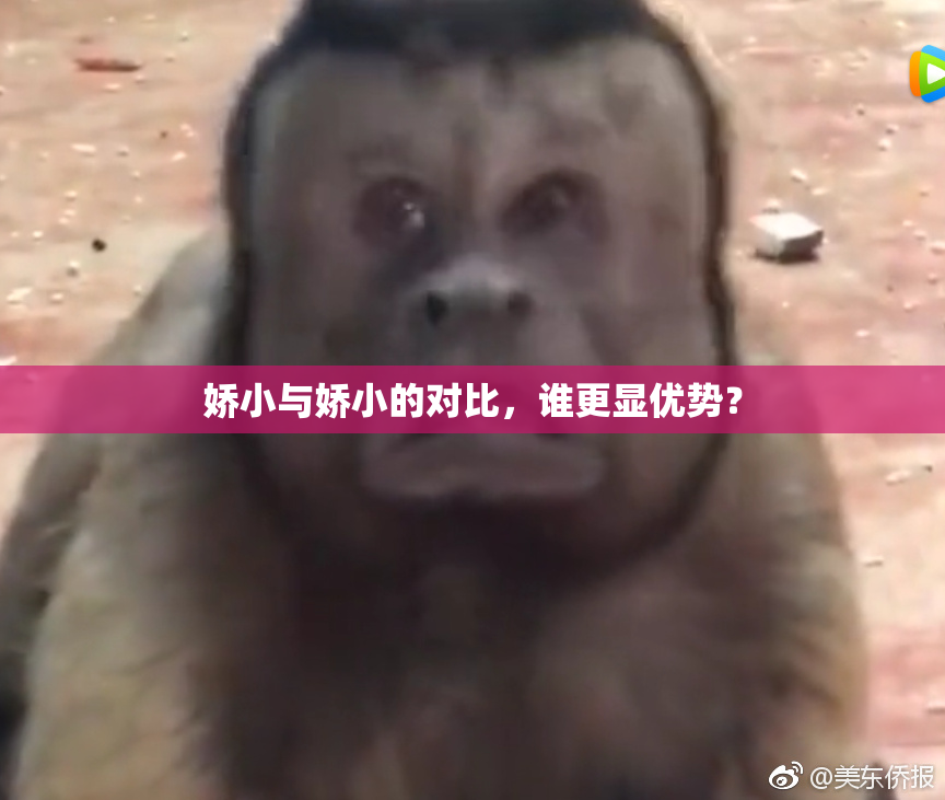 娇小与娇小的对比，谁更显优势？