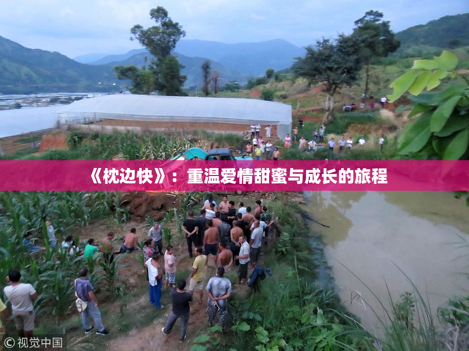 《枕边快》：重温爱情甜蜜与成长的旅程