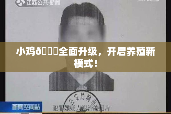 小鸡🐔全面升级，开启养殖新模式！