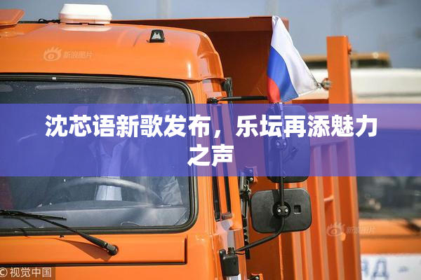 沈芯语新歌发布，乐坛再添魅力之声
