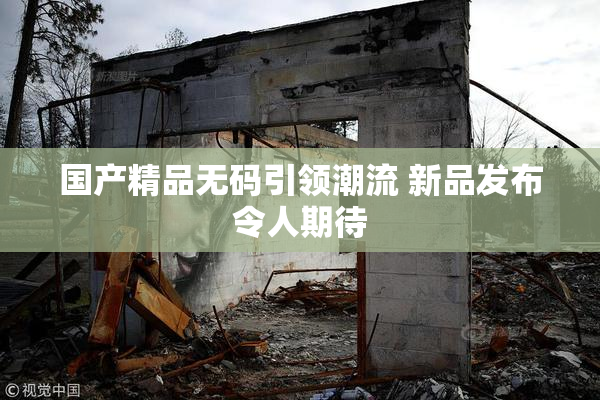 国产精品无码引领潮流 新品发布令人期待