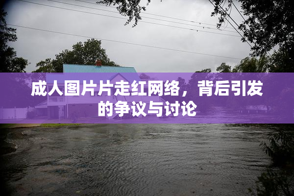 成人图片片走红网络，背后引发的争议与讨论