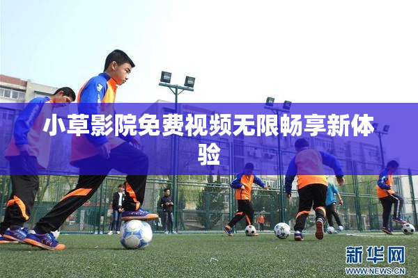 小草影院免费视频无限畅享新体验