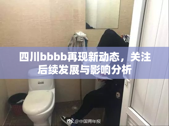四川bbbb再现新动态，关注后续发展与影响分析