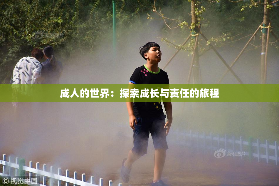 成人的世界：探索成长与责任的旅程