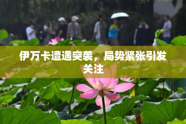 伊万卡遭遇突袭，局势紧张引发关注