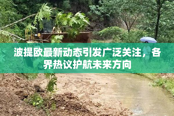 波提欧最新动态引发广泛关注，各界热议护航未来方向