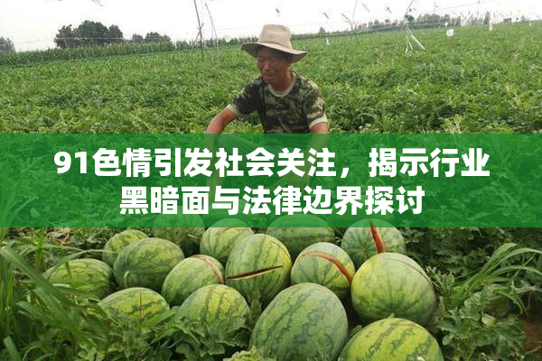 91色情引发社会关注，揭示行业黑暗面与法律边界探讨