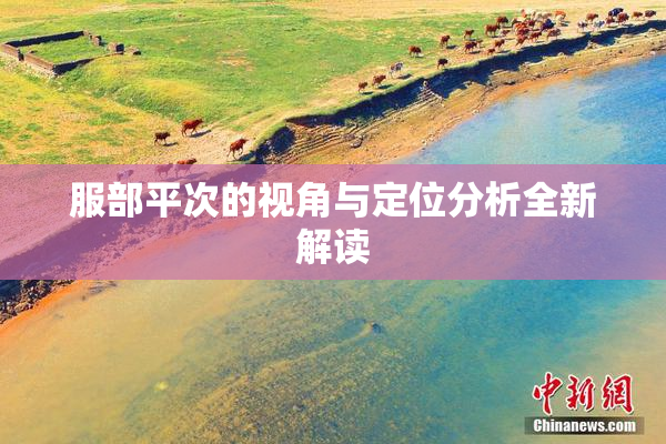 服部平次的视角与定位分析全新解读