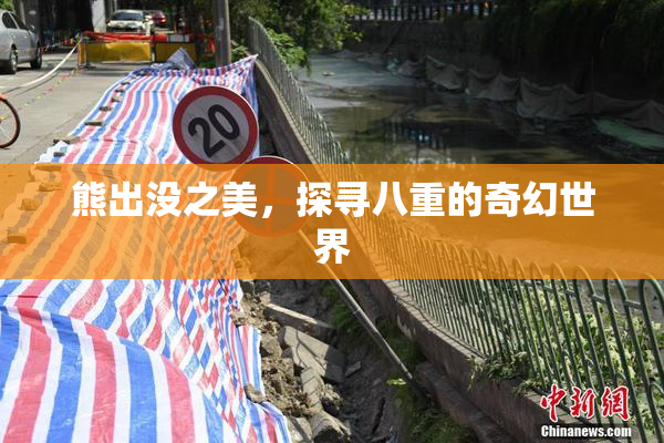 熊出没之美，探寻八重的奇幻世界