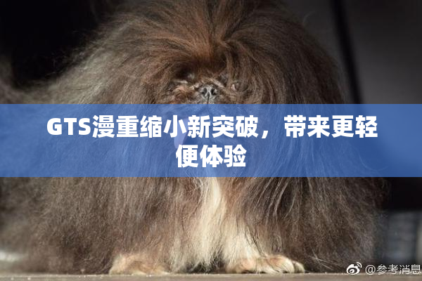 GTS漫重缩小新突破，带来更轻便体验