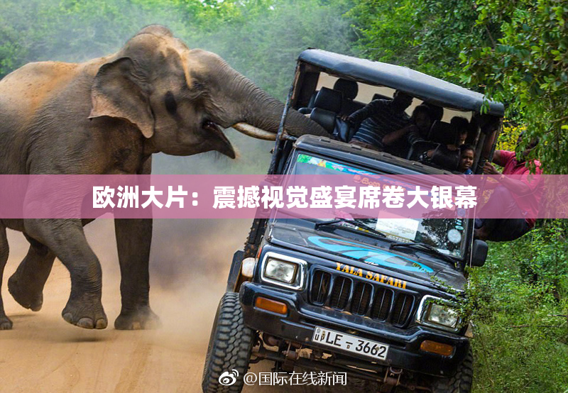 欧洲大片：震撼视觉盛宴席卷大银幕