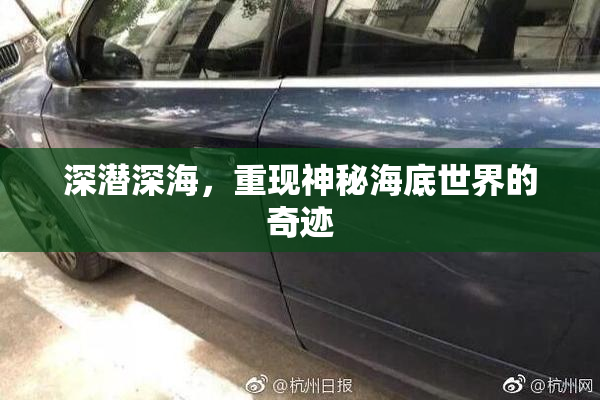 深潜深海，重现神秘海底世界的奇迹