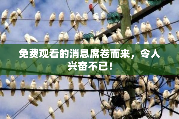 免费观看的消息席卷而来，令人兴奋不已！