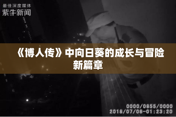 《博人传》中向日葵的成长与冒险新篇章