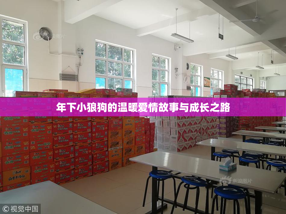 年下小狼狗的温暖爱情故事与成长之路