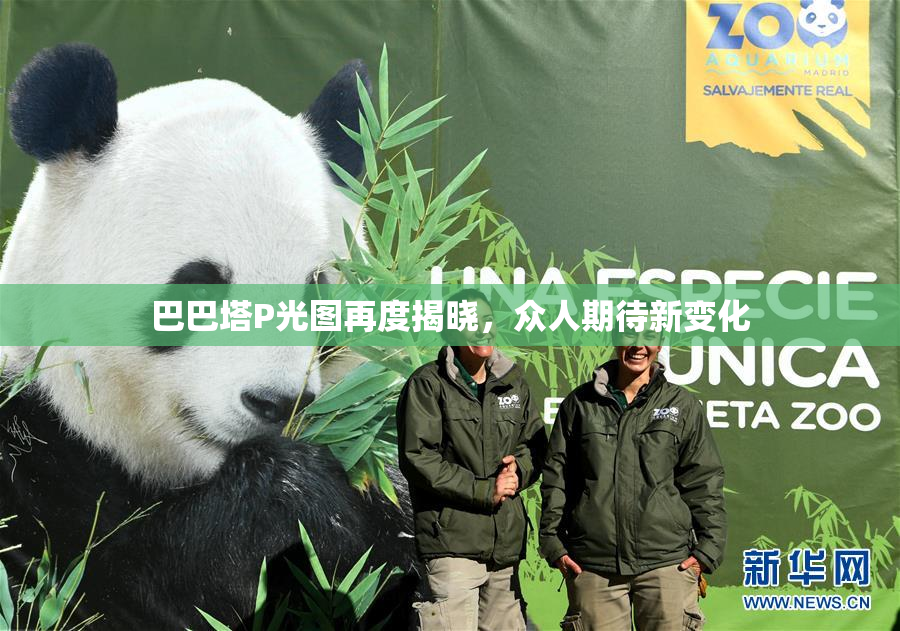 巴巴塔P光图再度揭晓，众人期待新变化