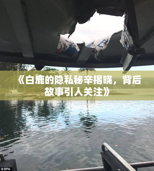 《白鹿的隐私秘辛揭晓，背后故事引人关注》