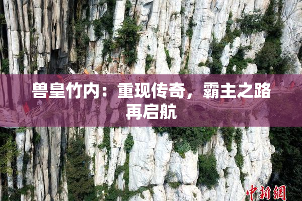 兽皇竹内：重现传奇，霸主之路再启航