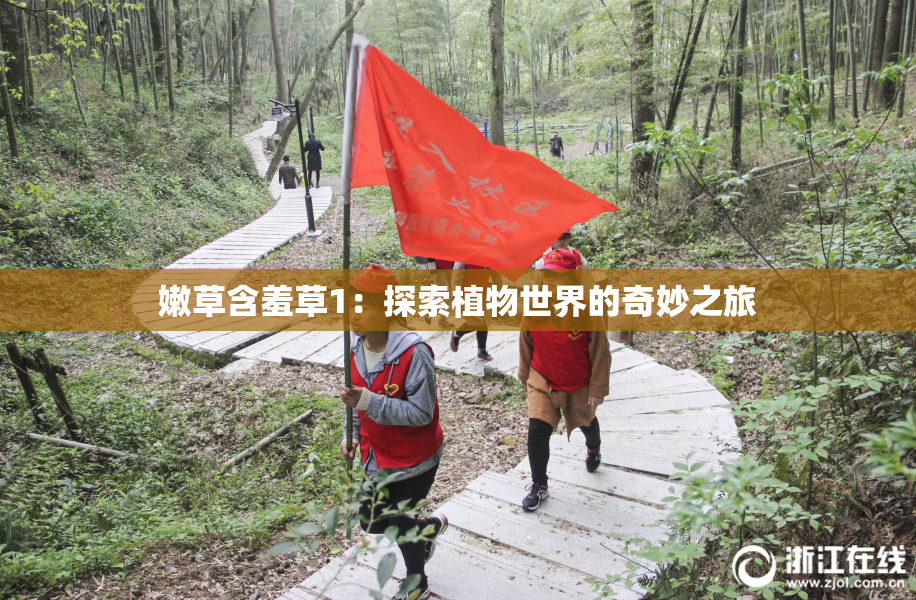 嫩草含羞草1：探索植物世界的奇妙之旅