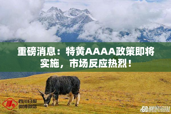 重磅消息：特黄AAAA政策即将实施，市场反应热烈！