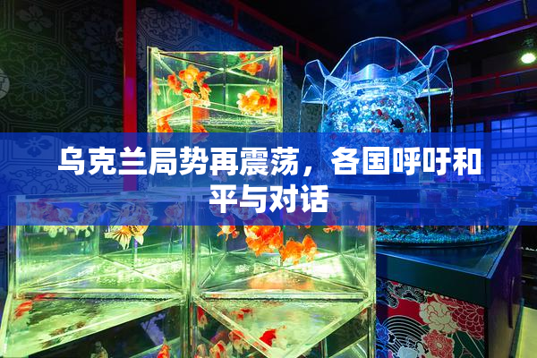 乌克兰局势再震荡，各国呼吁和平与对话