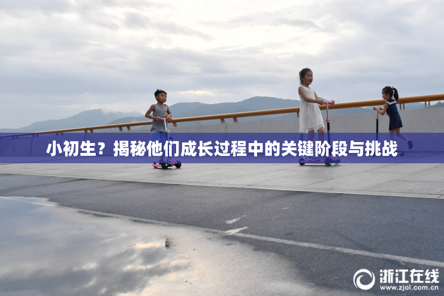 小初生？揭秘他们成长过程中的关键阶段与挑战