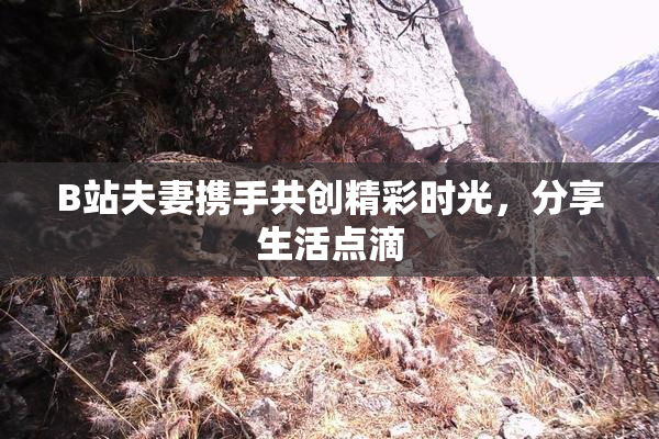 B站夫妻携手共创精彩时光，分享生活点滴
