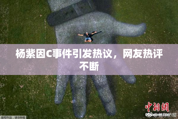杨紫因C事件引发热议，网友热评不断