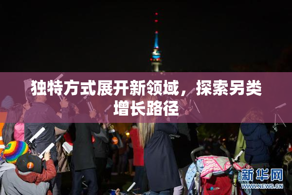 独特方式展开新领域，探索另类增长路径