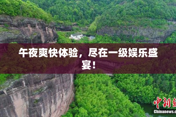 午夜爽快体验，尽在一级娱乐盛宴！