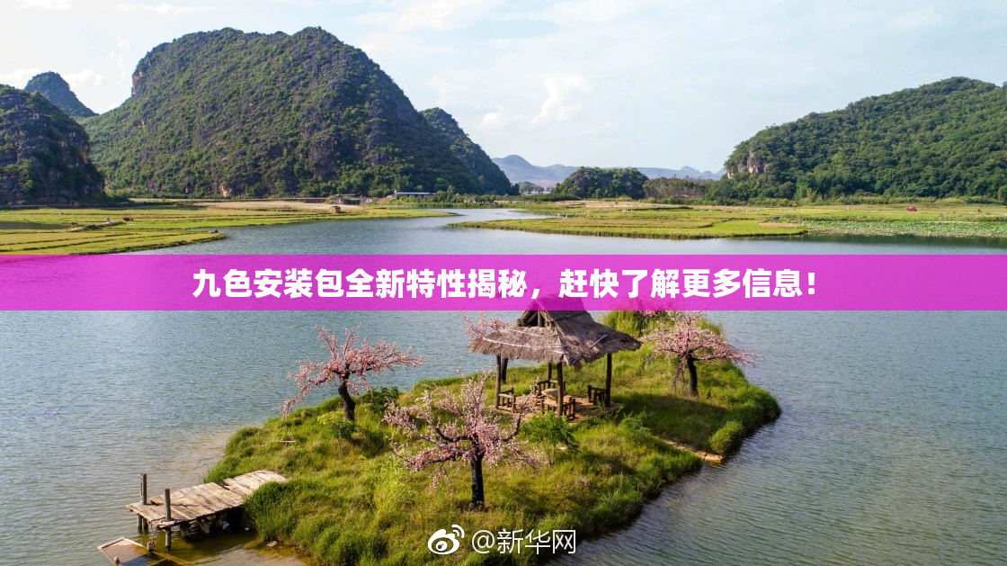九色安装包全新特性揭秘，赶快了解更多信息！