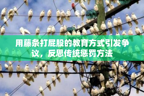 用藤条打屁股的教育方式引发争议，反思传统惩罚方法