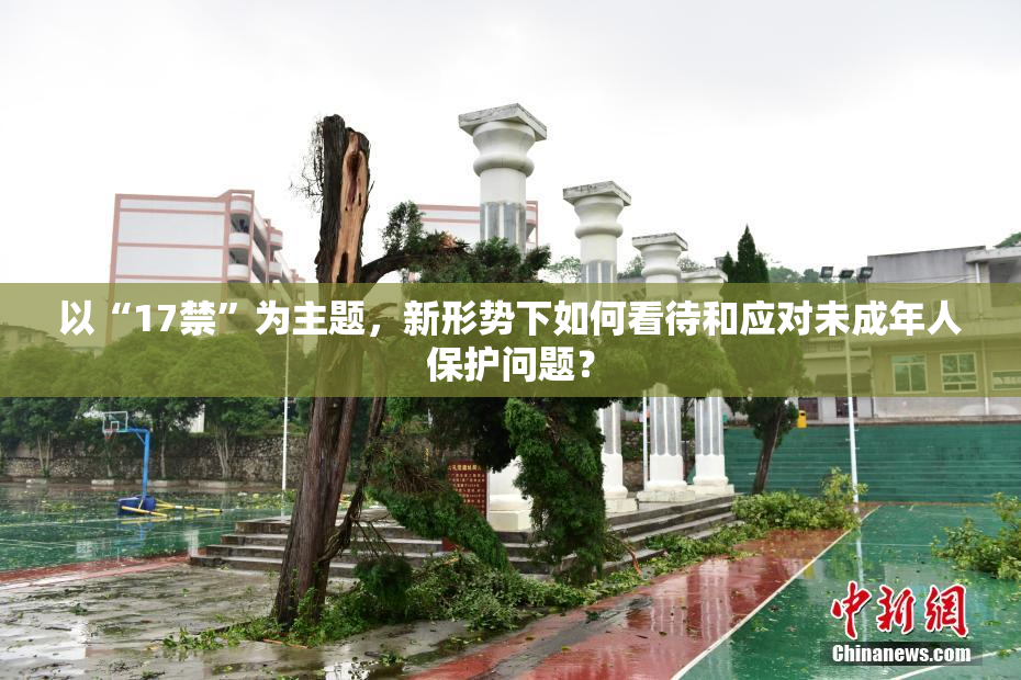 以“17禁”为主题，新形势下如何看待和应对未成年人保护问题？