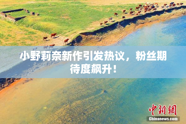 小野莉奈新作引发热议，粉丝期待度飙升！