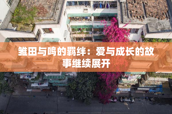 雏田与鸣的羁绊：爱与成长的故事继续展开