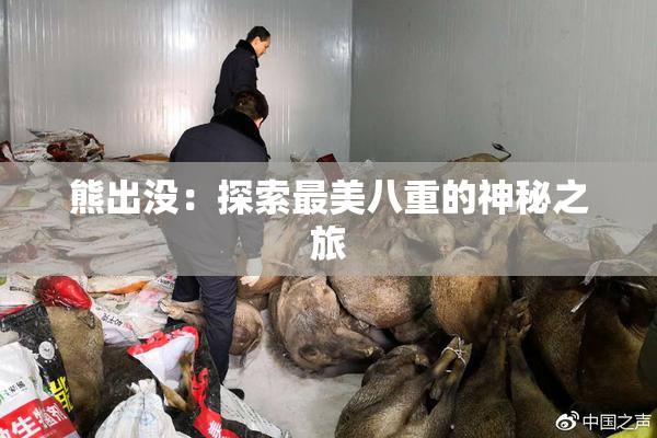 熊出没：探索最美八重的神秘之旅