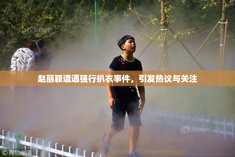 赵丽颖遭遇强行扒衣事件，引发热议与关注