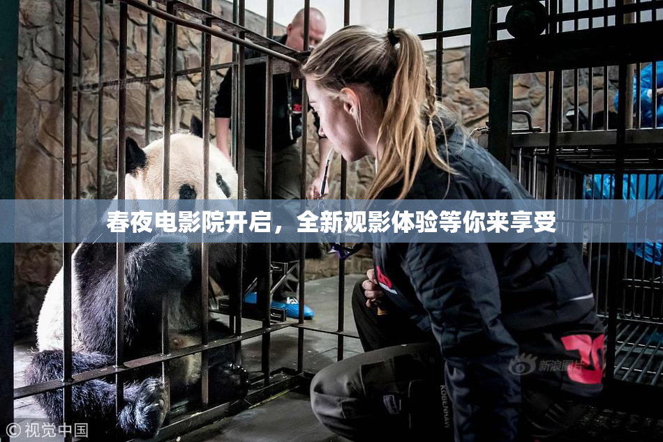 春夜电影院开启，全新观影体验等你来享受